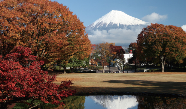 中央公園